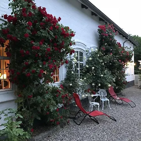 Casa vacanze Reinhardt 5 Comfortable *